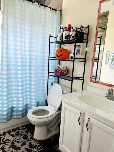 Room In Citrus Park And Carollwood, Close To The Airport & Downtown Tampa Eksteriør bilde