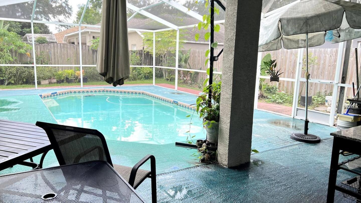 Room In Citrus Park And Carollwood, Close To The Airport & Downtown Tampa Eksteriør bilde