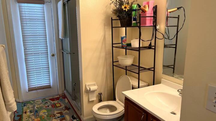 Room In Citrus Park And Carollwood, Close To The Airport & Downtown Tampa Eksteriør bilde
